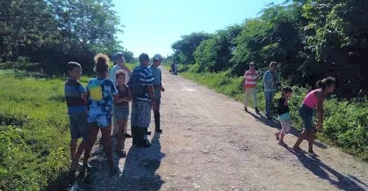 Plantation of Las Llanadas