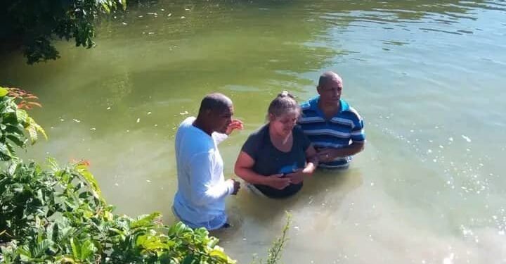 Plantation of Las Llanadas
