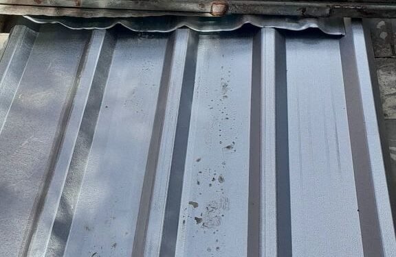 Hope in the midst of the cyclone: Veguitas rises.