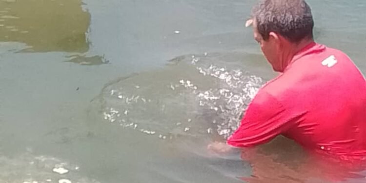 Baptisms in Las Llanadas and Jobo Rosado, Cuba