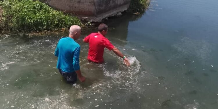 Baptisms in Las Llanadas and Jobo Rosado, Cuba